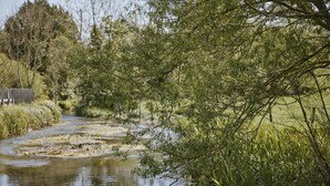 A river with dense foliage on the banks. - The Bucks Head (Southampton)