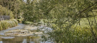 The Bucks Head