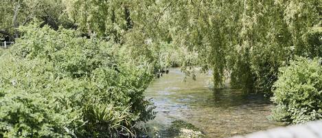 A river flowing through a densely vegetated area with trees and bushes.