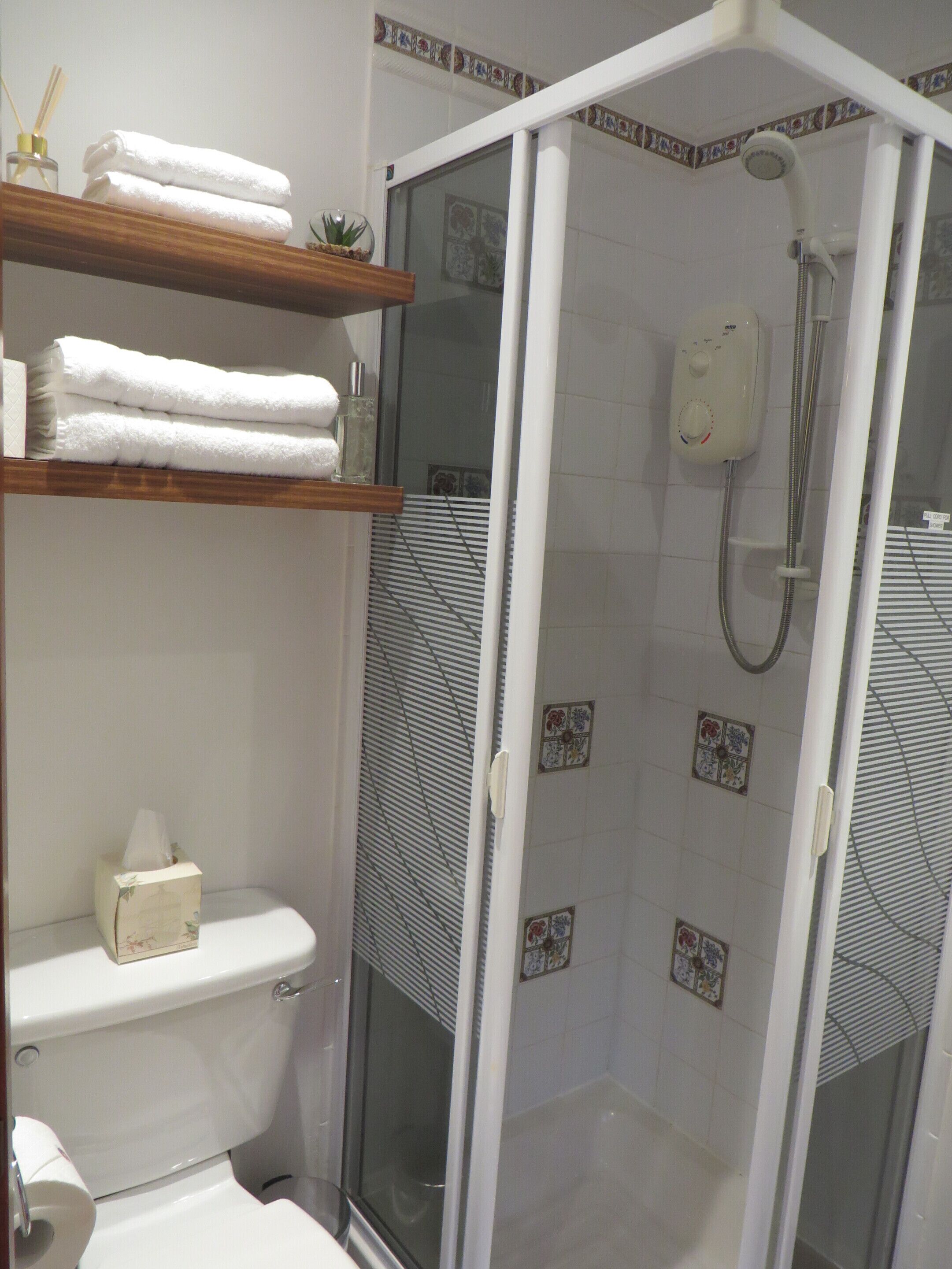 Un baño con ducha separada por vidrio, inodoro, repisa con toallas y caja de pañuelos.