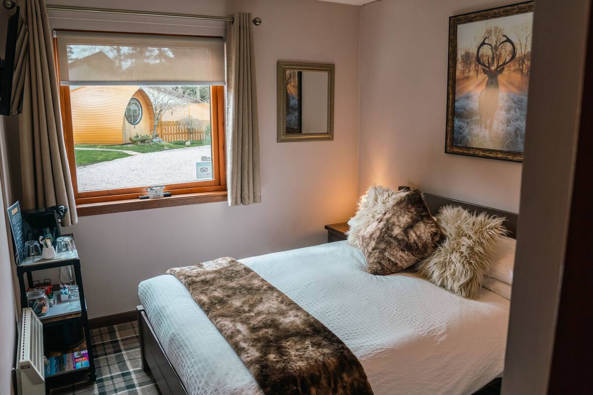 Ein Schlafzimmer mit Bett, Fenster mit Blick auf ein Gebäude, einem gerahmten Bild an der Wand und einem Nachttisch mit Lampe.