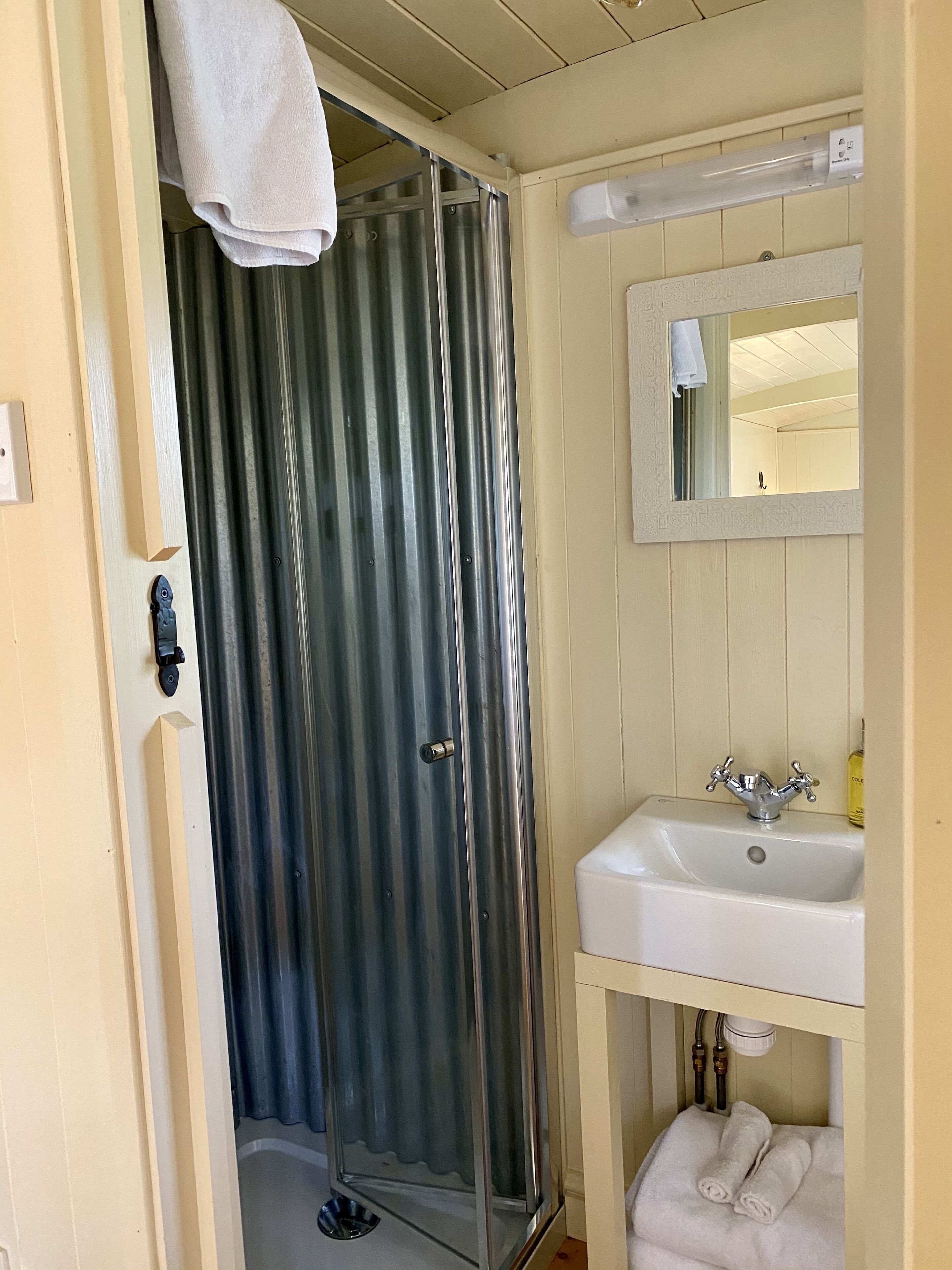 A bathroom with a shower, a sink, and a mirror.