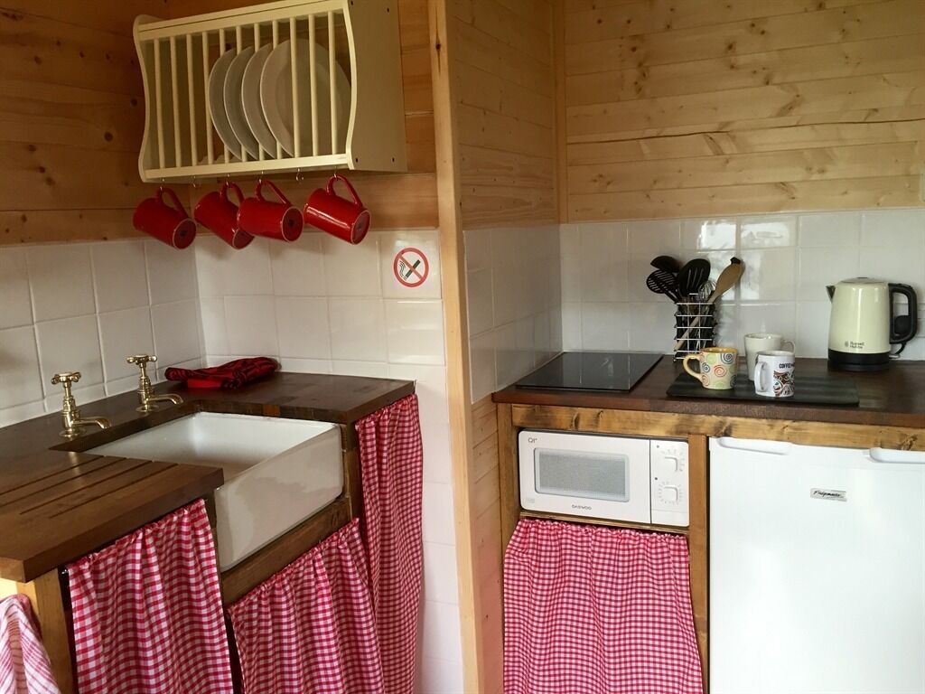 A compact kitchen with a sink, microwave, and refrigerator. There are red mugs hanging on the wall and a dish rack above the sink.