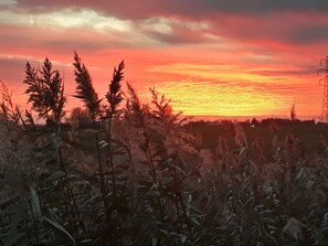 Un atardecer sobre un campo con pastos altos y una estructura de torres de electricidad a lo lejos.