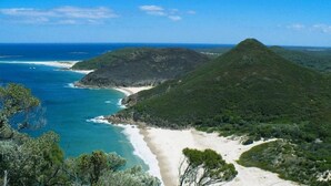 Un paisaje costero con una playa, una colina boscosa y una vista despejada del océano.
