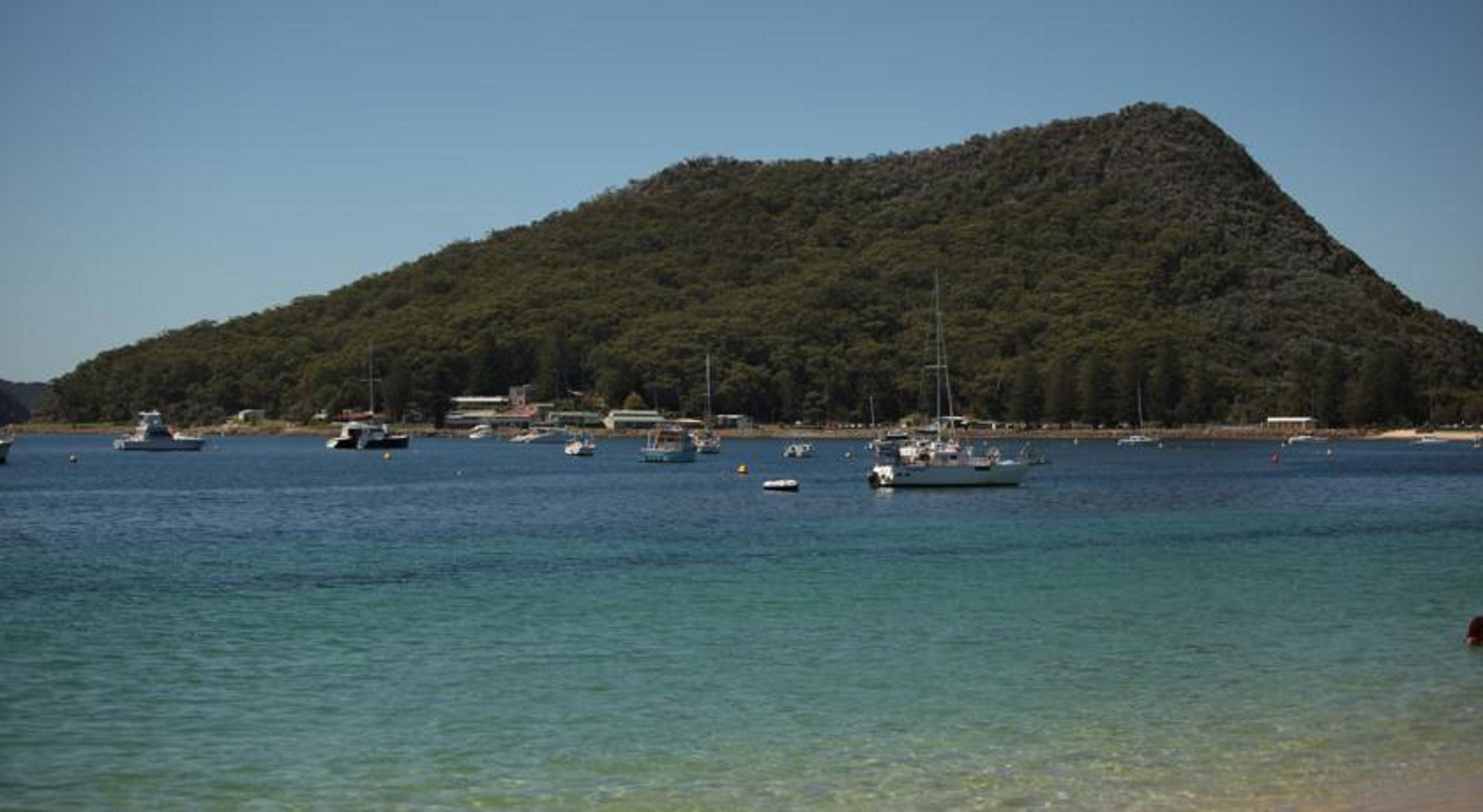 Zona costera con barcos en el agua y una colina boscosa al fondo.
