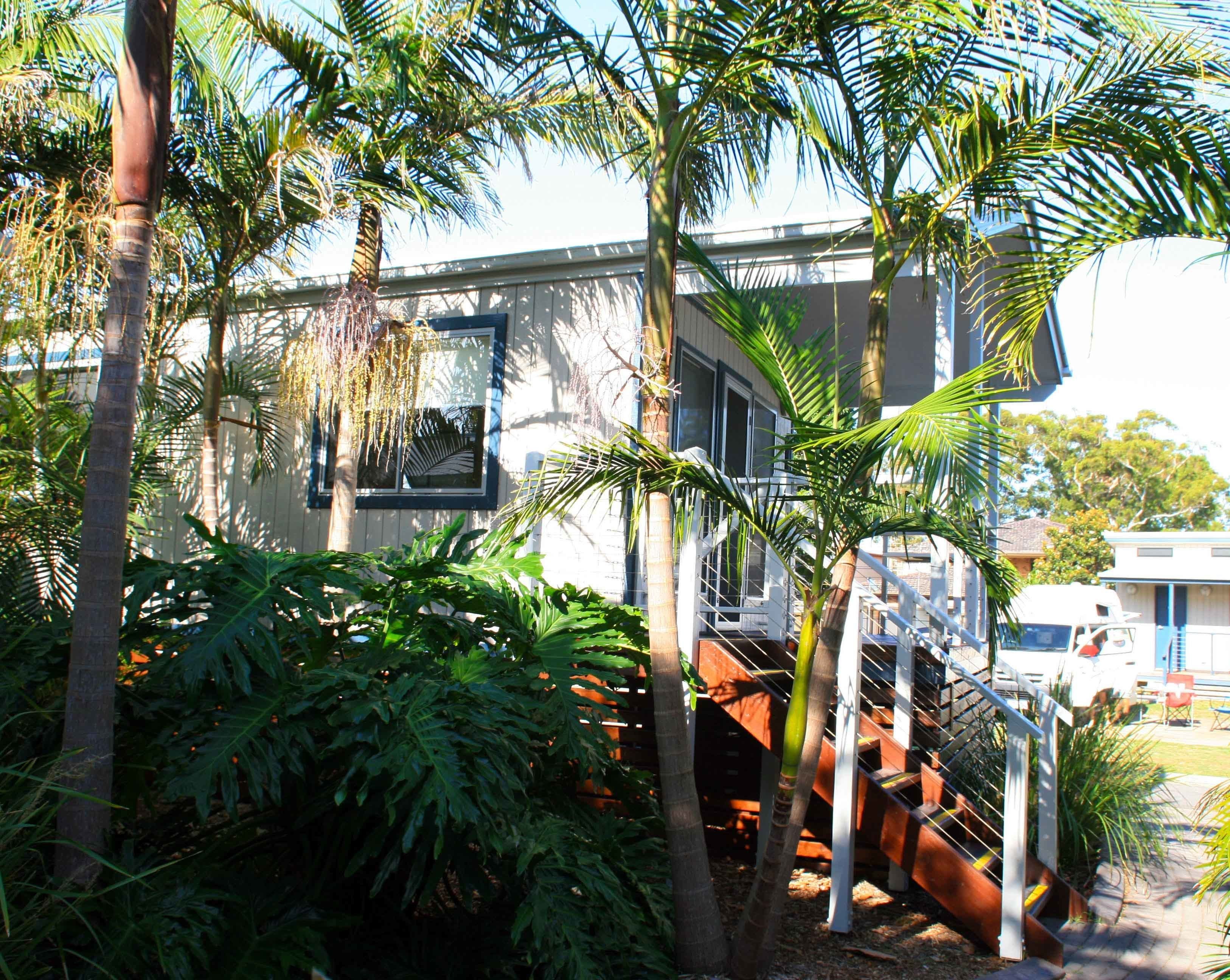 A house with a staircase leading to a deck, surrounded by lush greenery and palm trees.