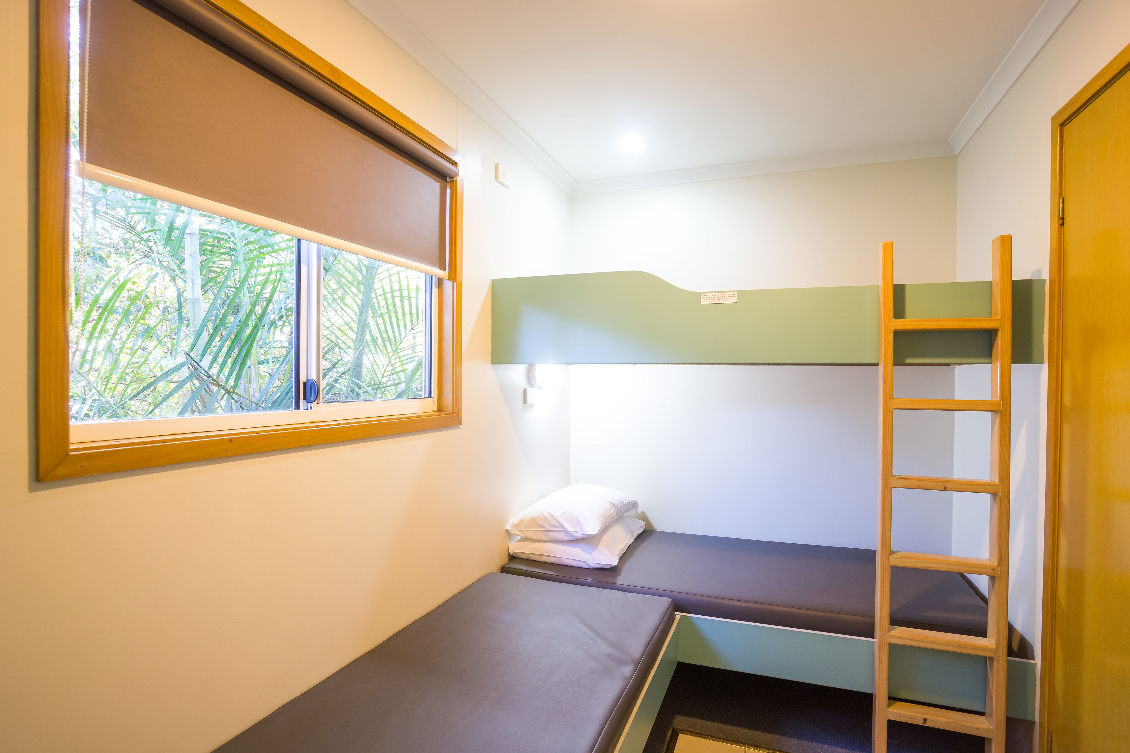 A small, single-bed room with a window, a wooden ladder, and a green wall.