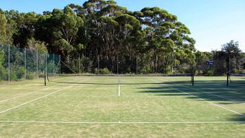 A tennis court with a net, surrounded by trees and a fence.