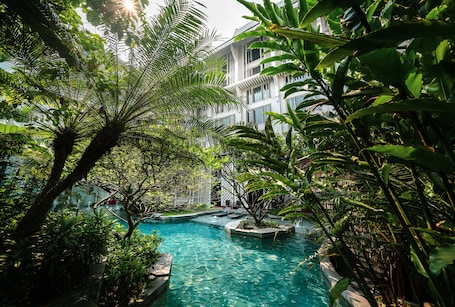 Outdoor pool, sun loungers