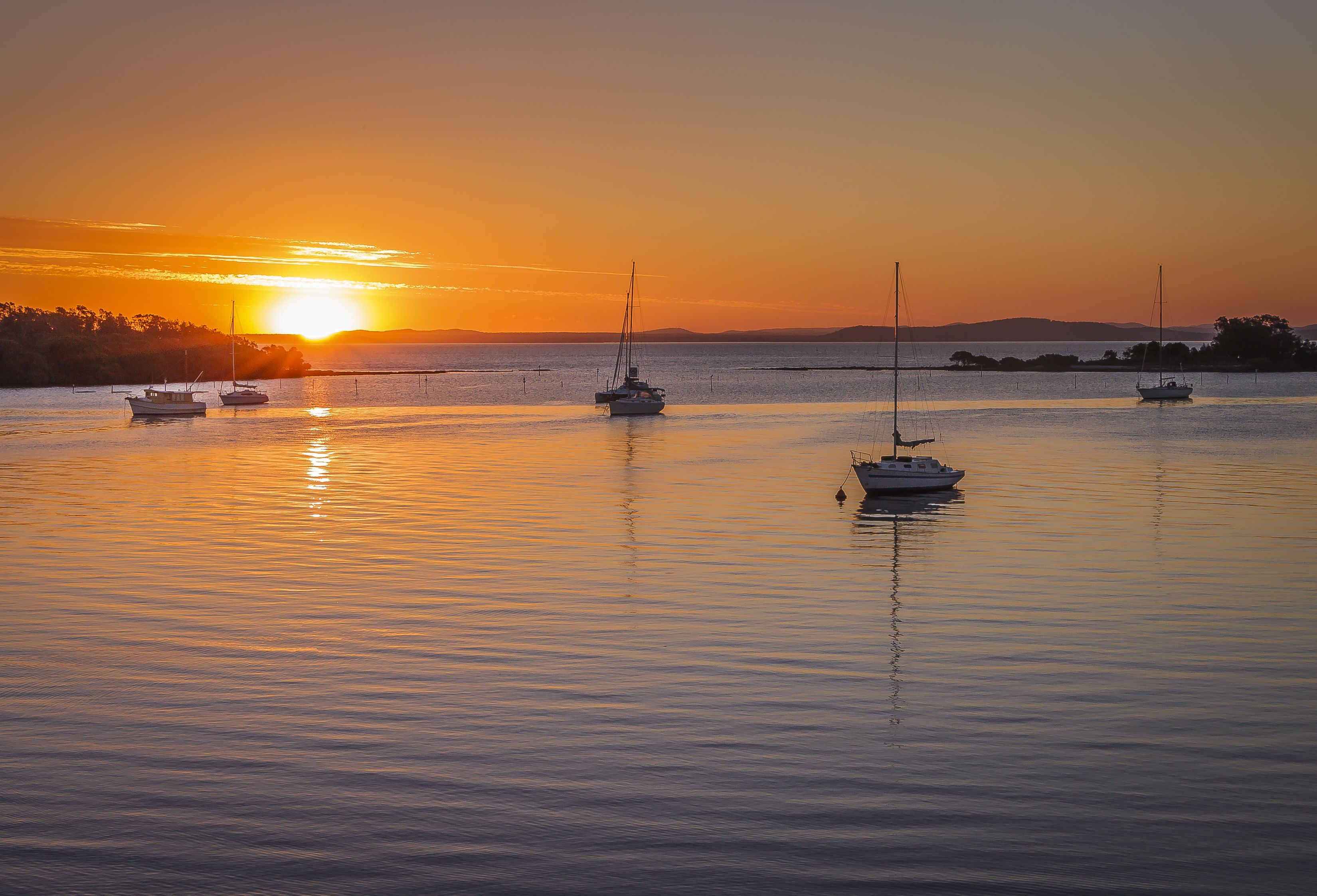 A calm harbor with several sailboats anchored at sunset.
