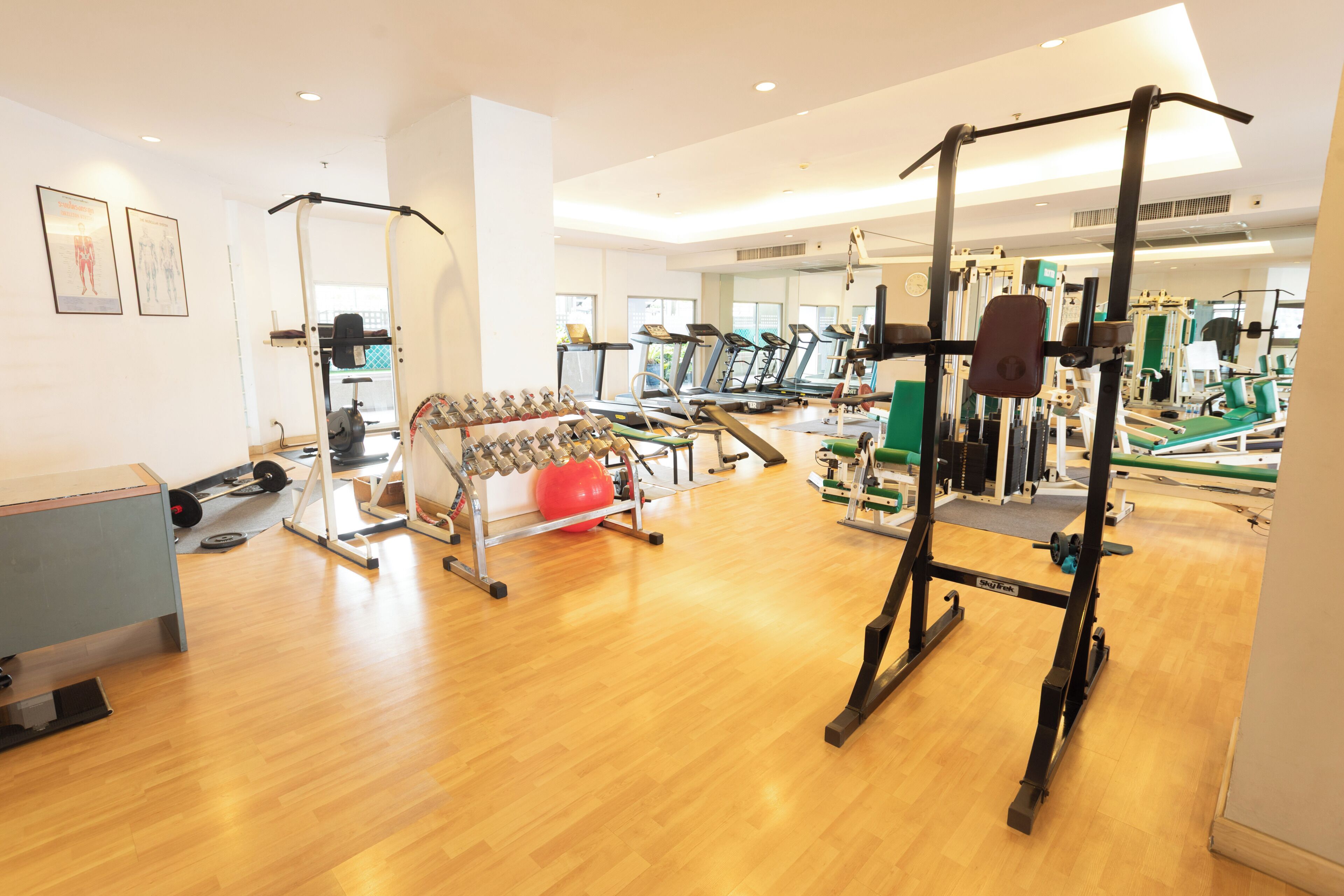 A gym with treadmills, weight machines, and a pull-up bar.