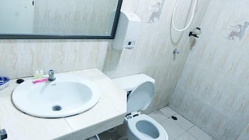 Shower, free toiletries, towels