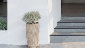 A reception area with a reception desk, a potted plant, and a staircase leading to an upper level. - Mintara Hotel (Bangkok)