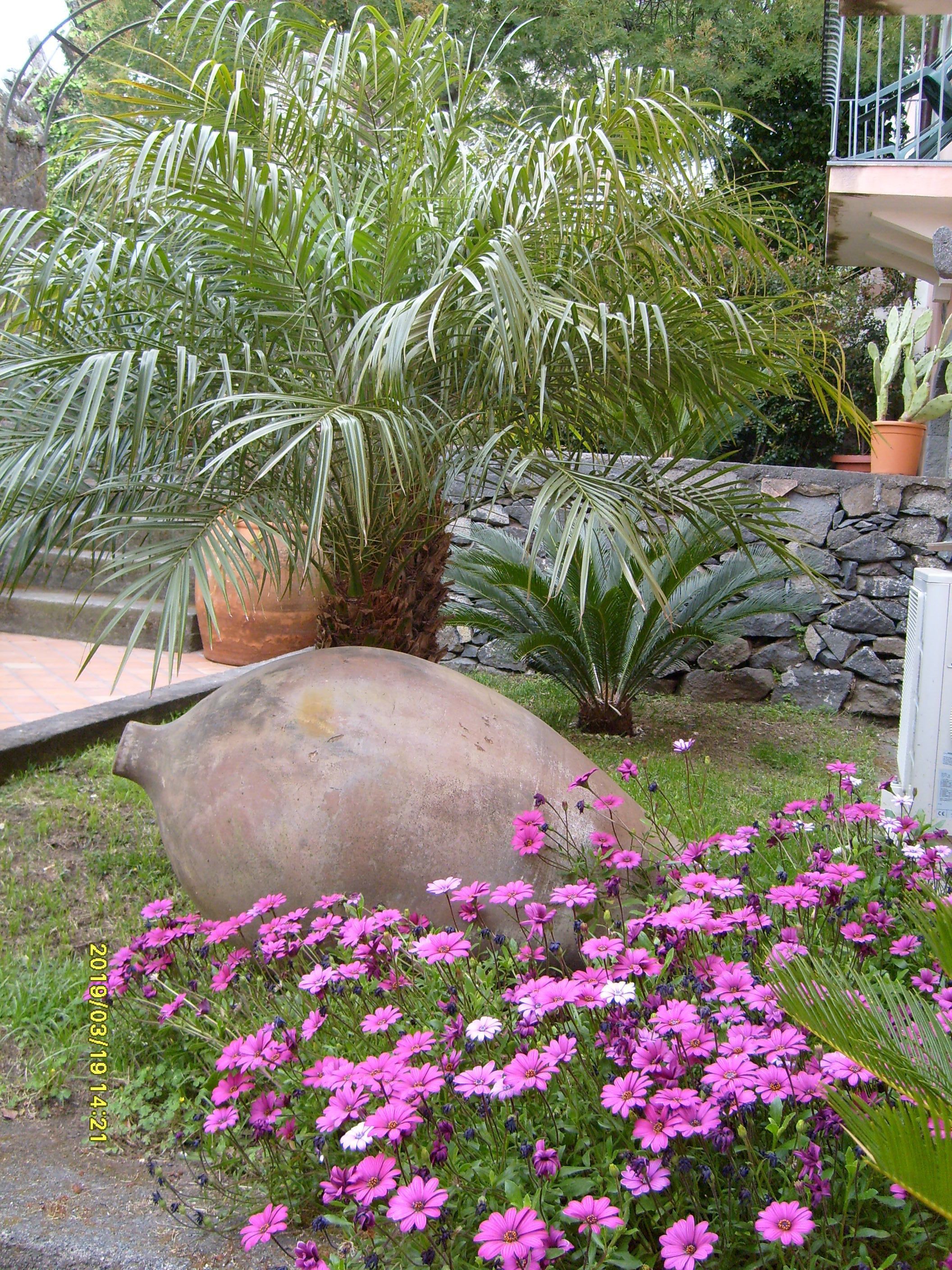 A garden with a large stone planter, various plants, and pink flowers.