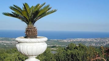 Vue depuis le balcon