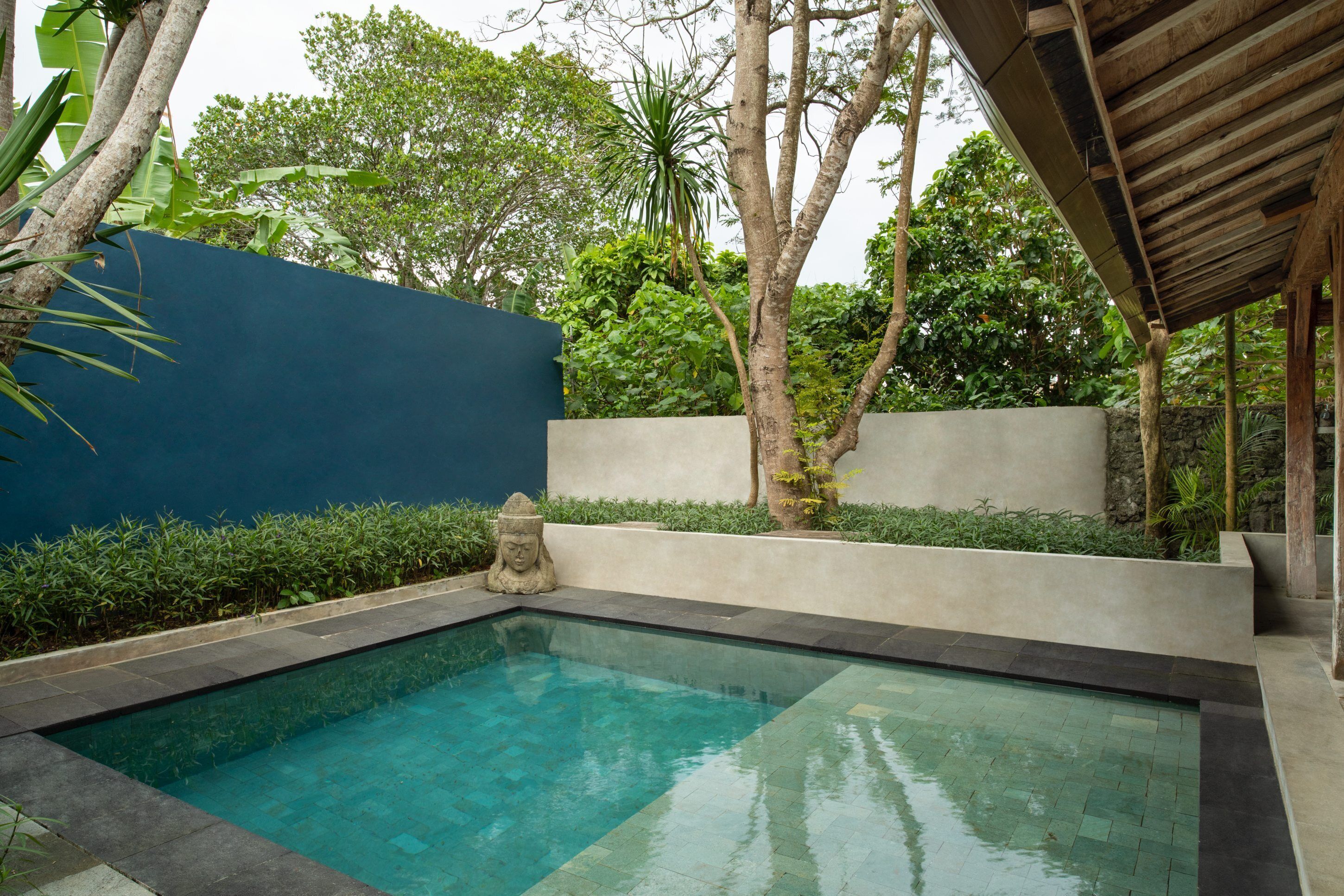 A rectangular swimming pool with a dark edge, surrounded by a low wall and lush greenery.