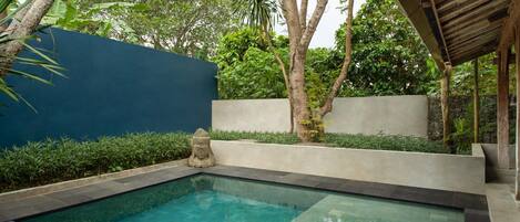 A rectangular swimming pool with a dark edge, surrounded by a low wall and lush greenery.