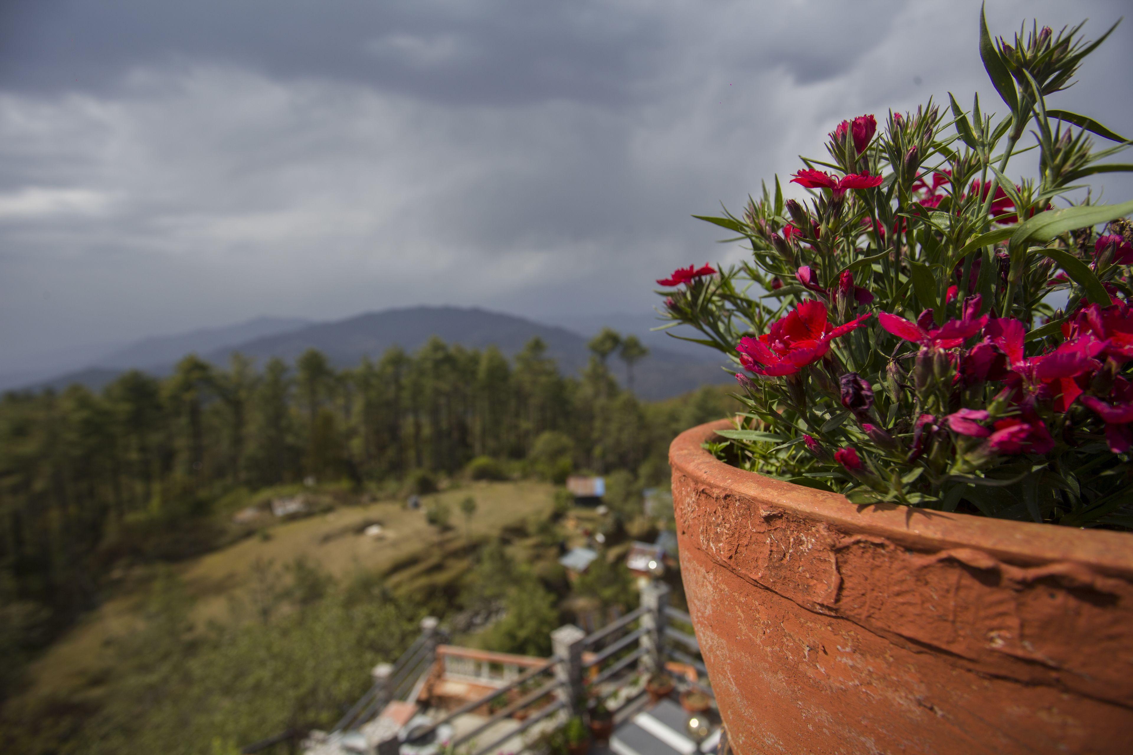 Ein Terrakotta-Topf mit roten Blüten auf einem Balkon mit Blick auf eine Berglandschaft.