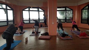 Ein Yoga-Kurs in einem Raum mit großen Fenstern und Holzböden.