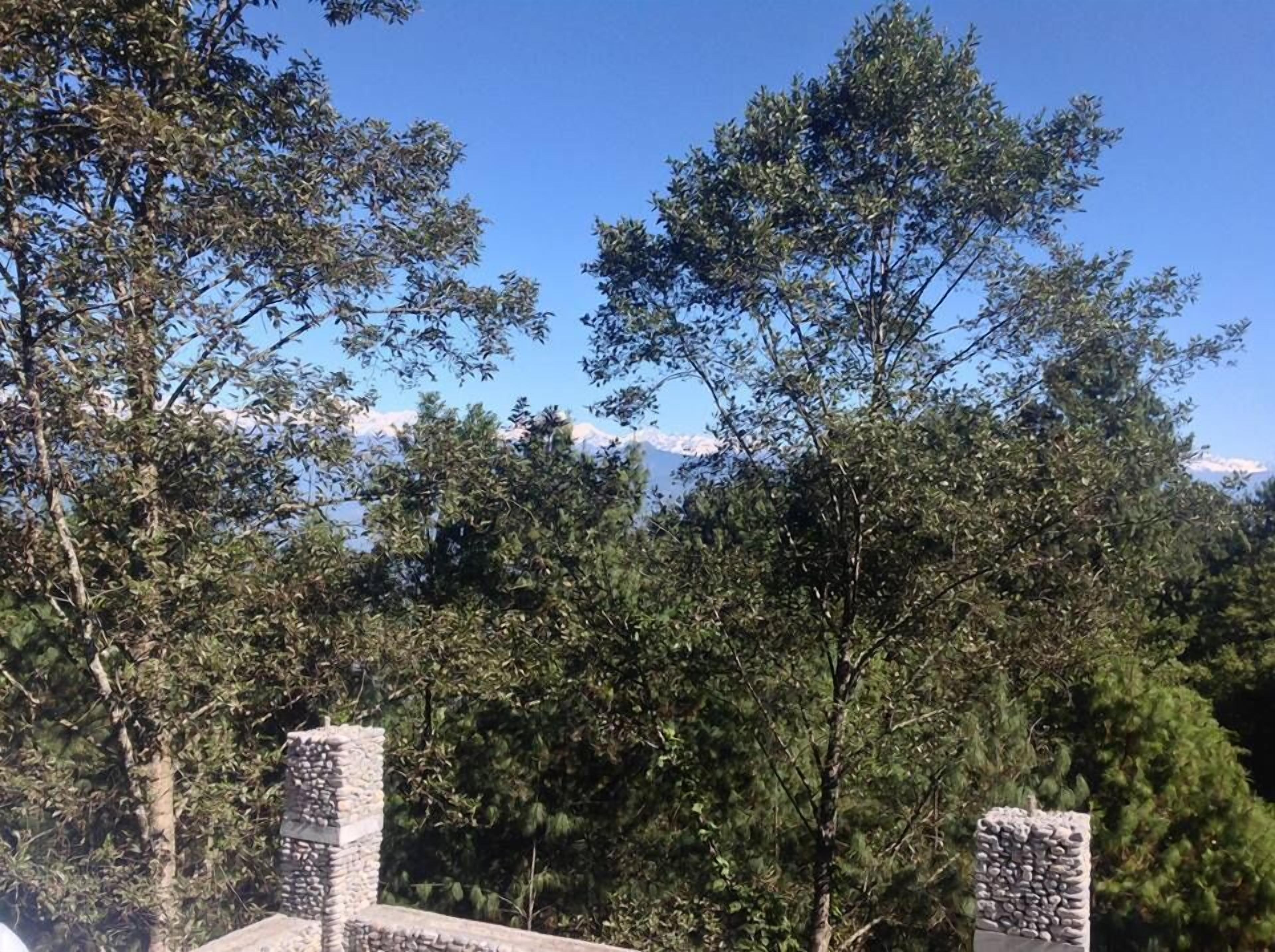 A view of a mountainous landscape with trees and stone structures.