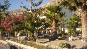 Un patio con palmeras, un muro de piedra y un edificio de paredes blancas y rojas.