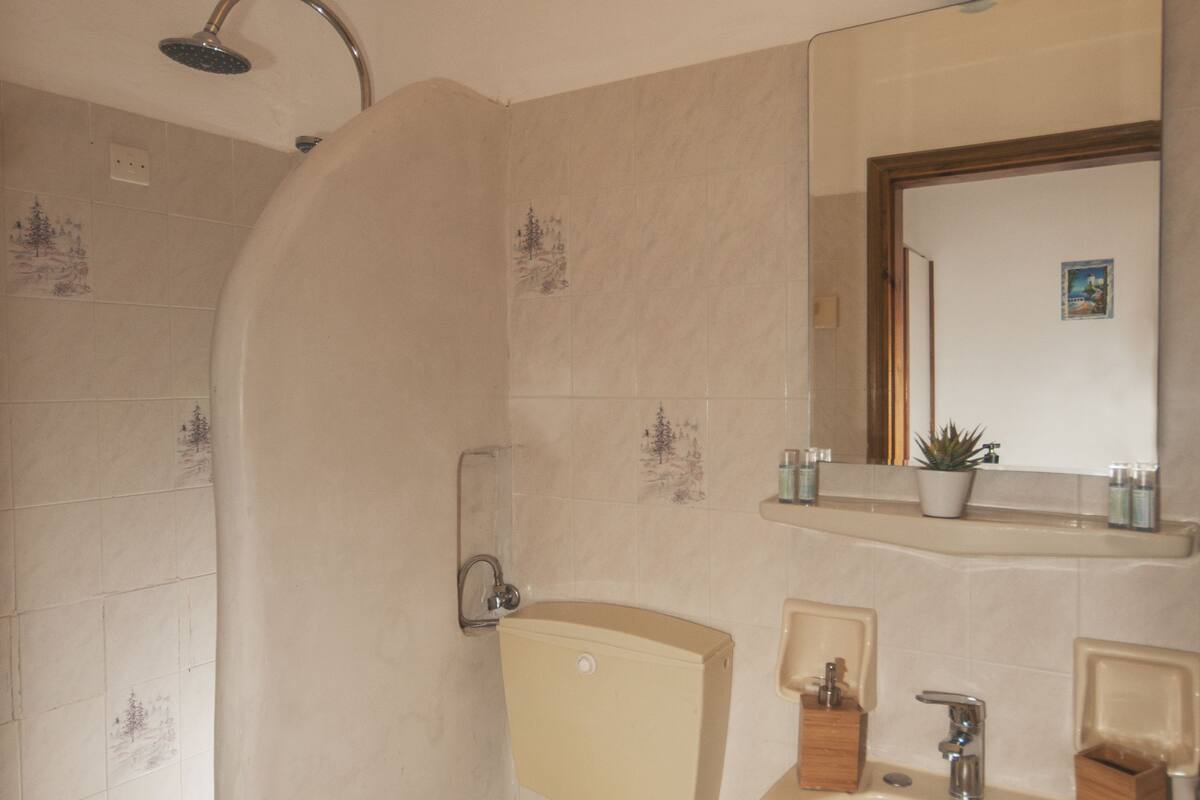 Un baño con ducha, inodoro, lavabo y espejo.