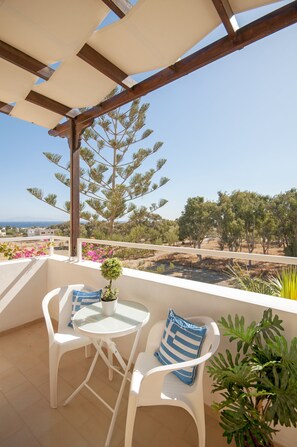 Standard Double or Twin Room (Upper floor) | Balcony