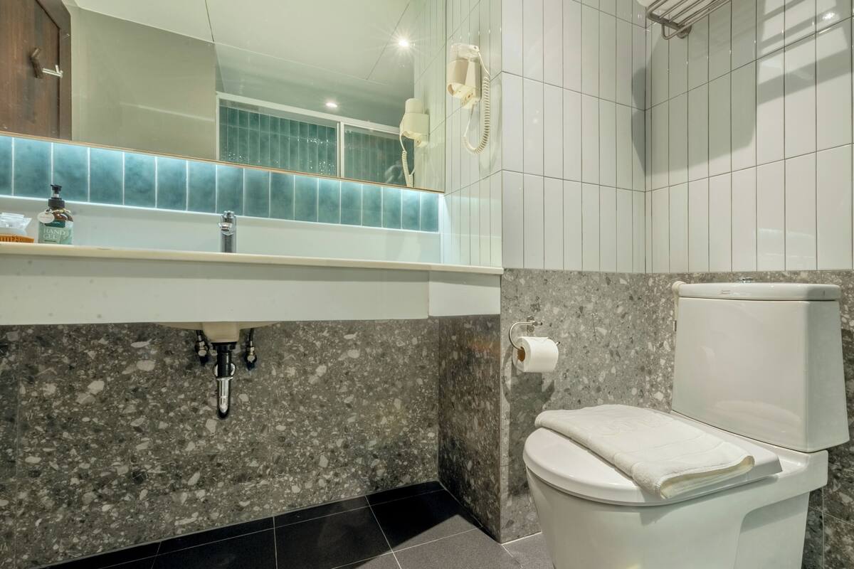 shower, free toiletries, hair dryer, towels