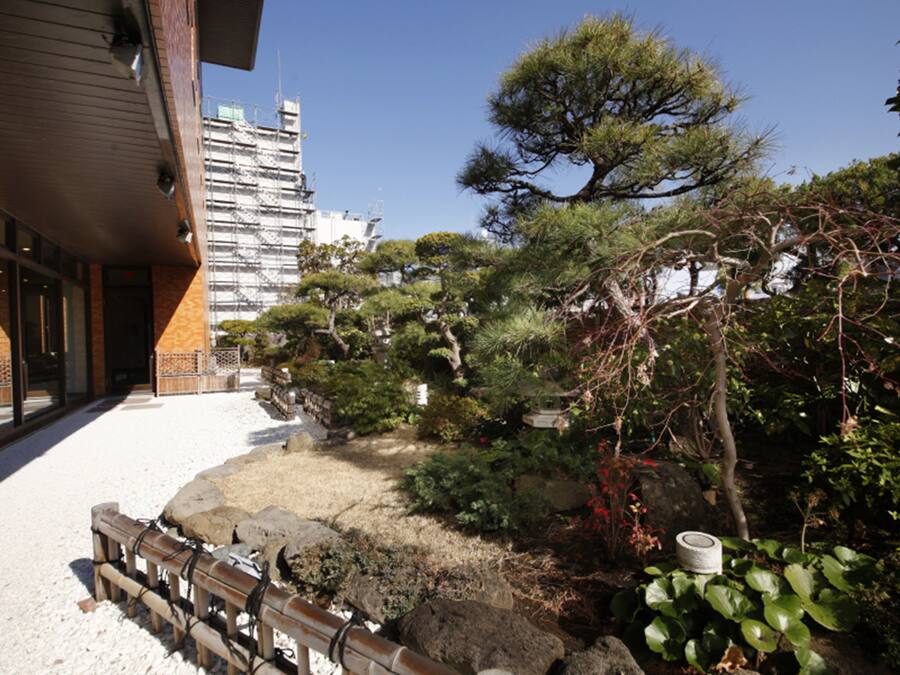 A traditional Japanese garden with a wooden bench, rocks, and various plants.