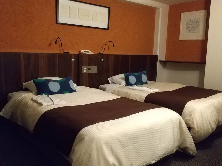 Superior Twin Room, Non Smoking | Iron/ironing board, free WiFi