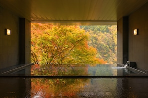 Hot springs - Hotel Iyaonsen (Miyoshi)