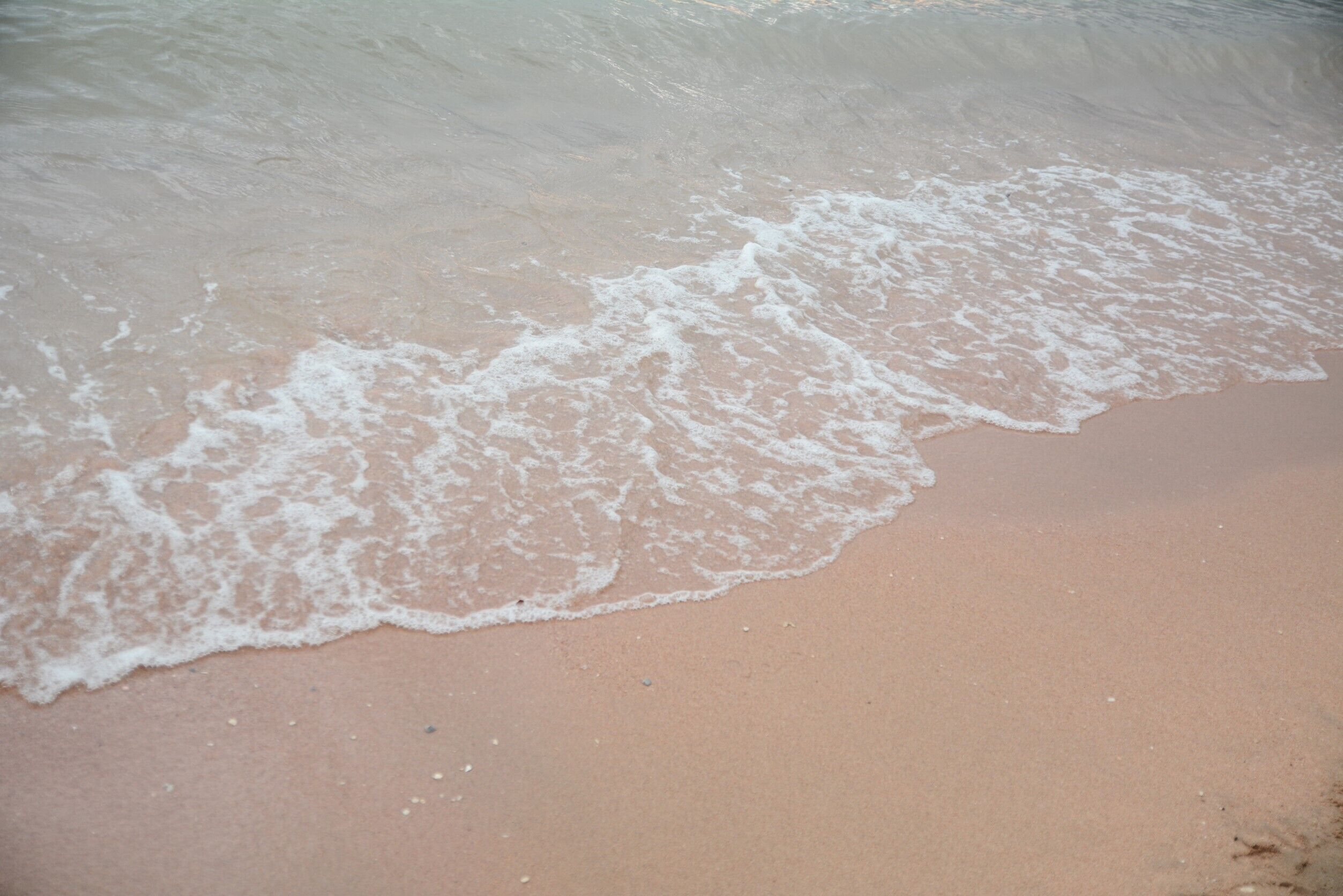 Pengangkutan ulang-alik terminal feri