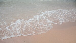 Photo non classée, 5 sur 86, bouton
