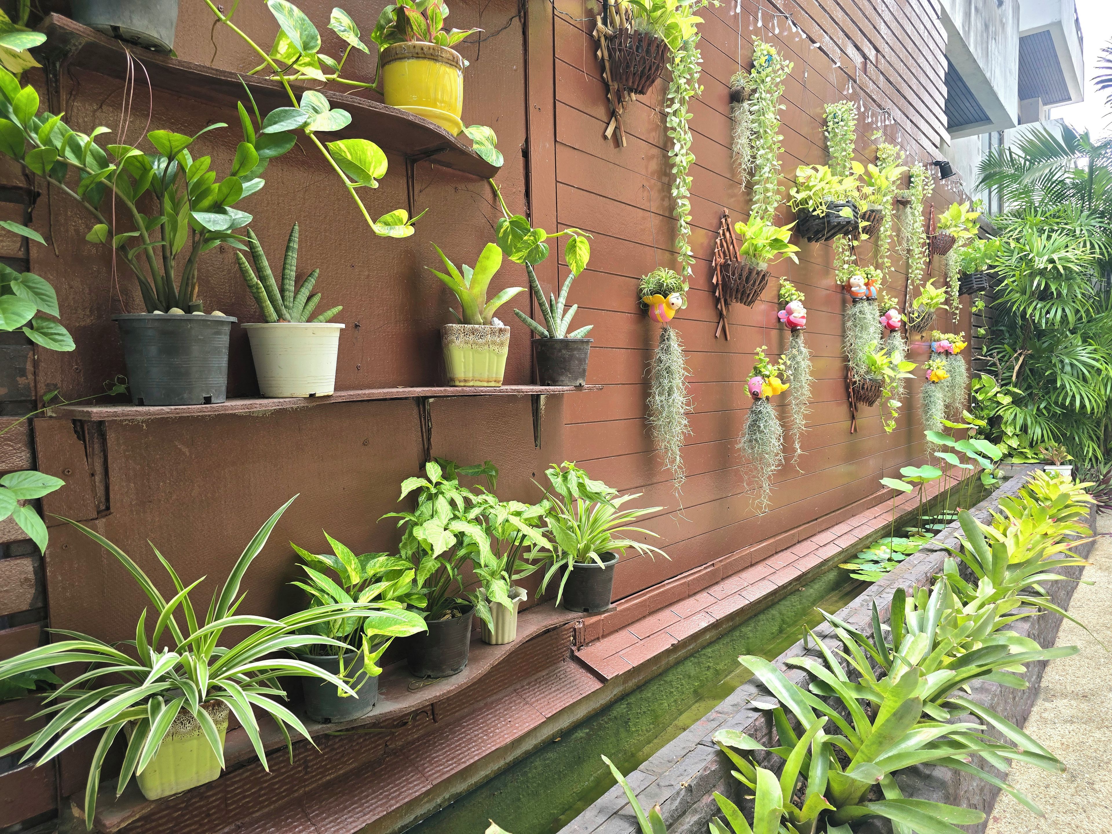 A wall with various potted plants and hanging planters, a brick ledge, and a small water feature.