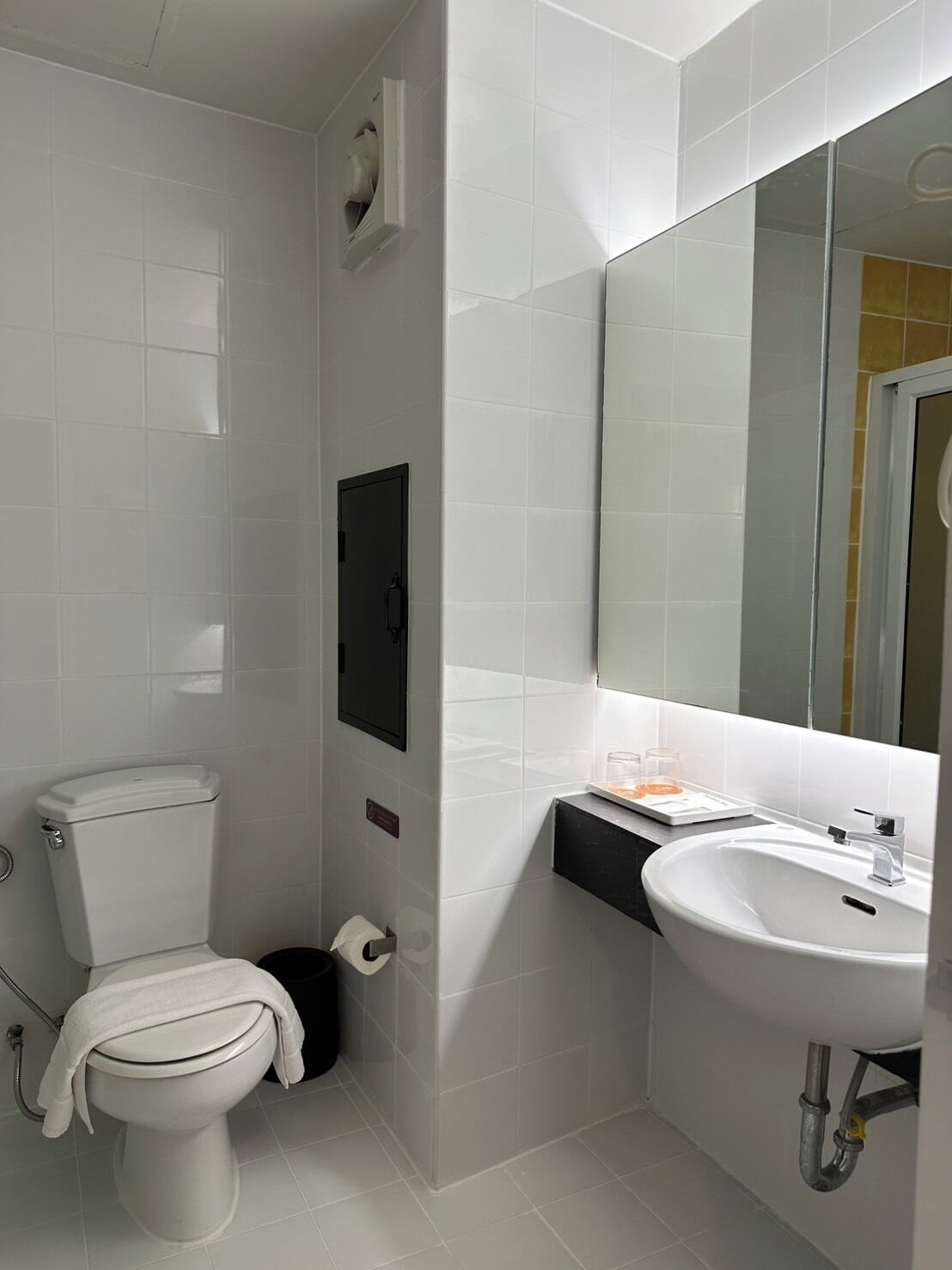 A bathroom with a toilet, sink, and mirror.