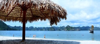 Paradise Peak Cruise