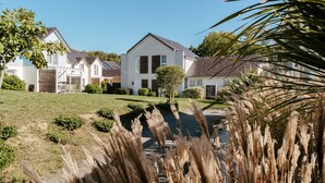 Zona residencial con casas, césped y un pequeño árbol.