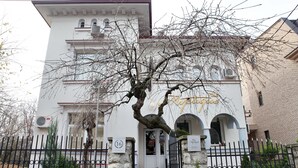 A building with a white facade, a red staircase, and a tree in front. - Villa Mystique (Belgrade)