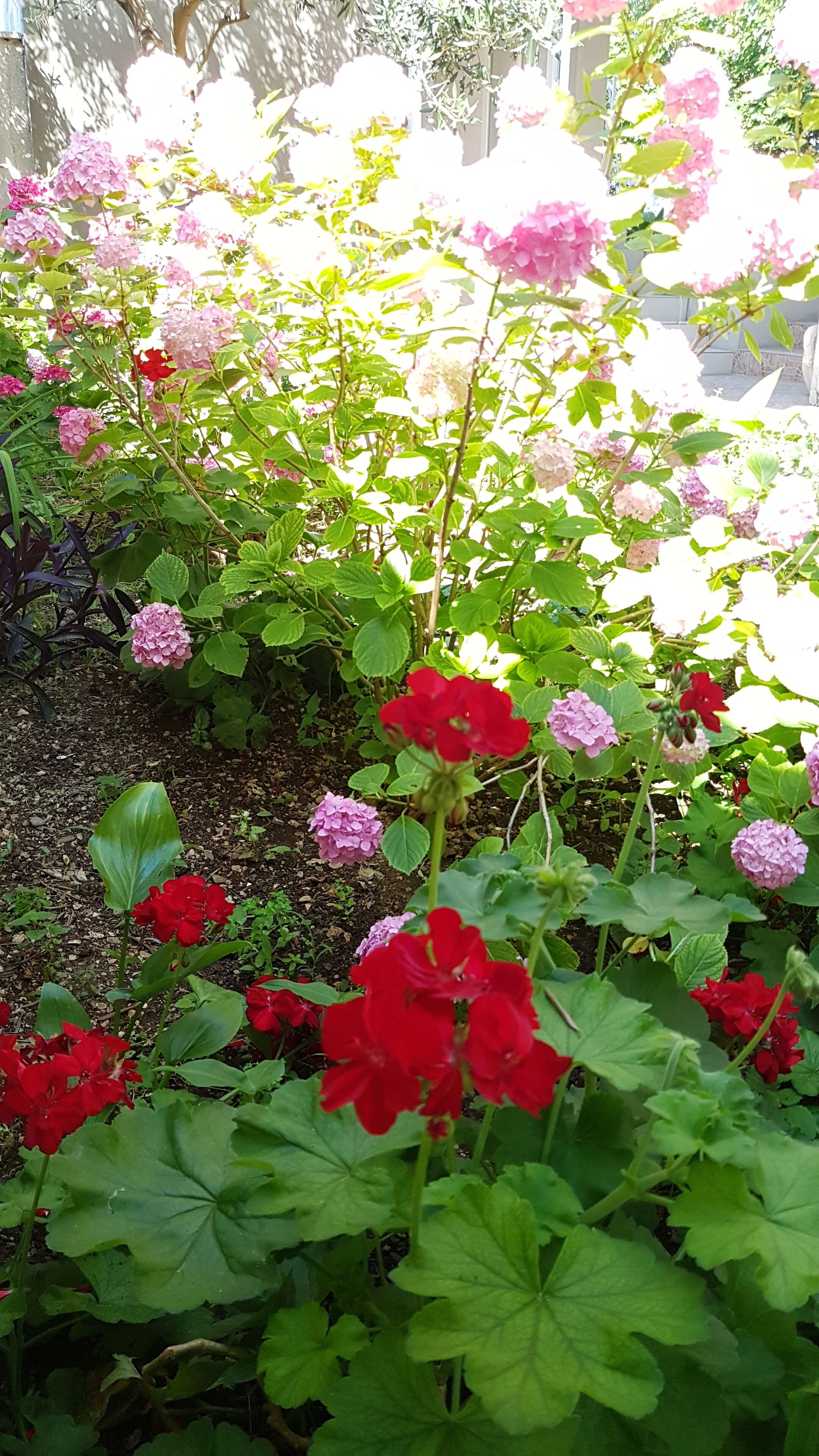 Foto - Accommodation Drasko