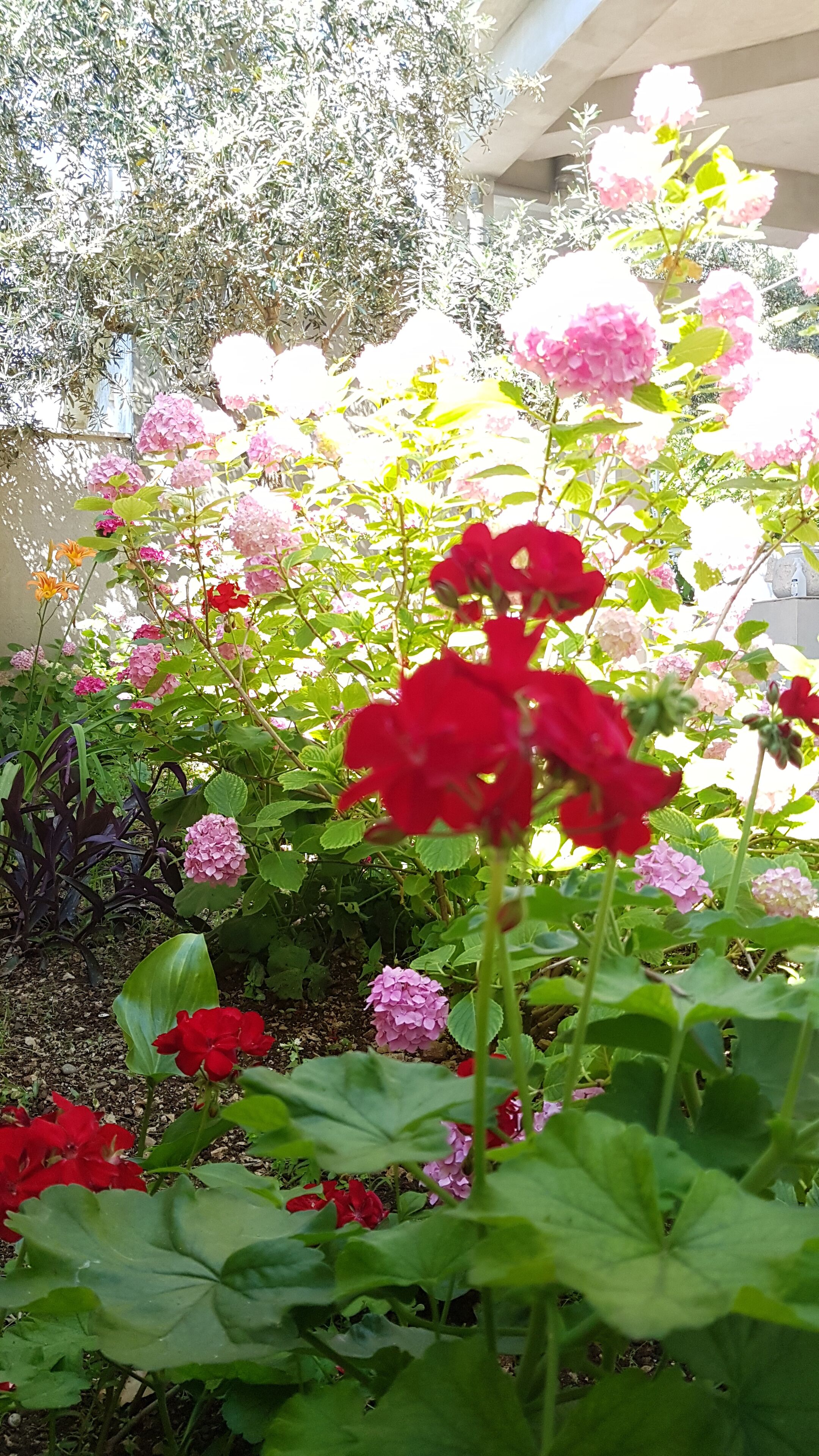 Foto - Accommodation Drasko