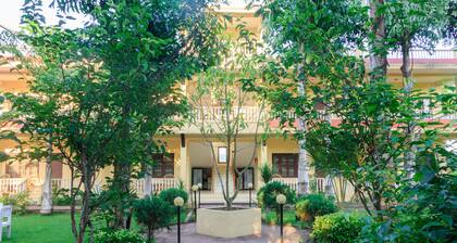 Hotel Rainforest