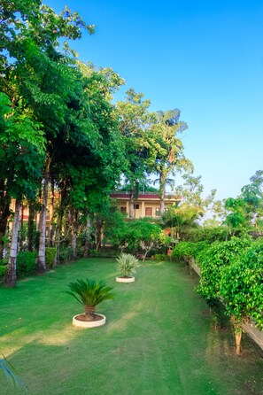 View from property - Hotel Rainforest (Sauraha)
