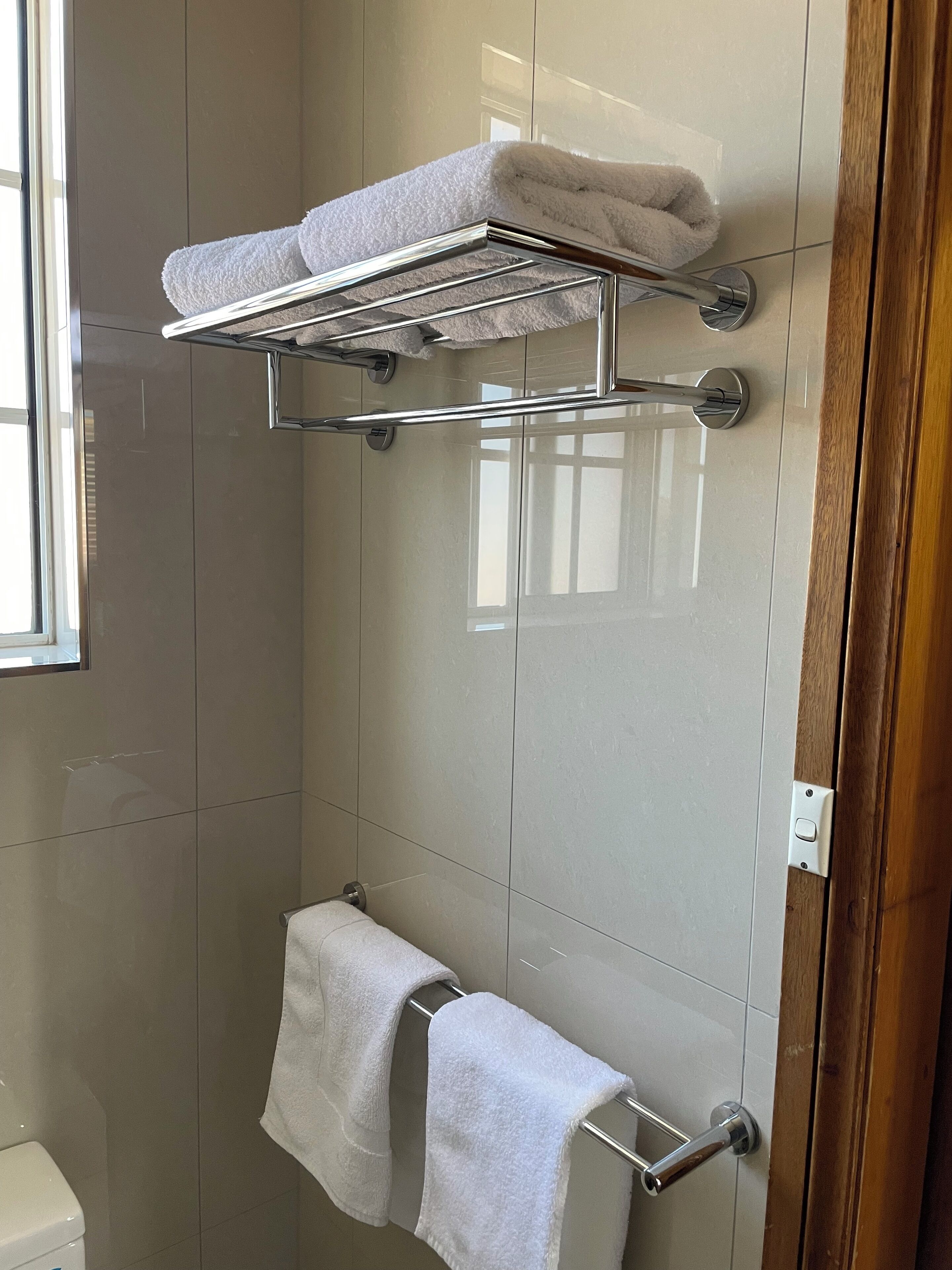 A bathroom with a glass shower enclosure, a towel rack, and a toilet.