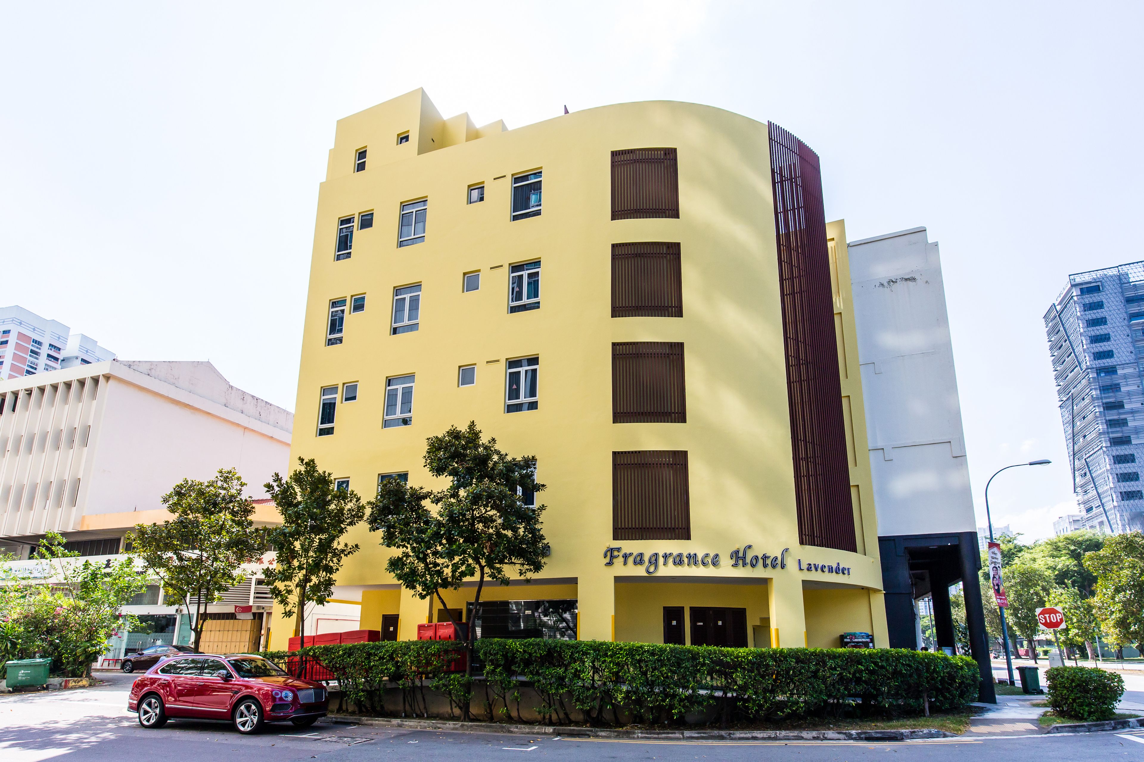 Photo - Fragrance Hotel - Lavender