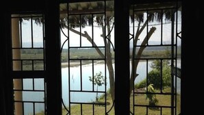 A view through a barred window with a landscape outside, including trees and a body of water. - Wildlife Adventure Resort (Sauraha)