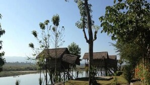 A lakeside accommodation with thatched-roof huts, a grassy area, and trees. - Wildlife Adventure Resort (Sauraha)