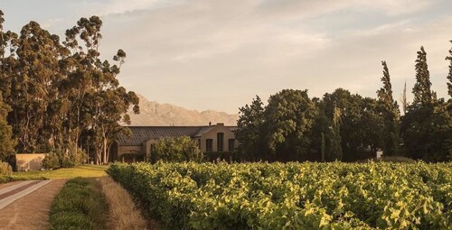 Saronsberg Vineyard Cottages