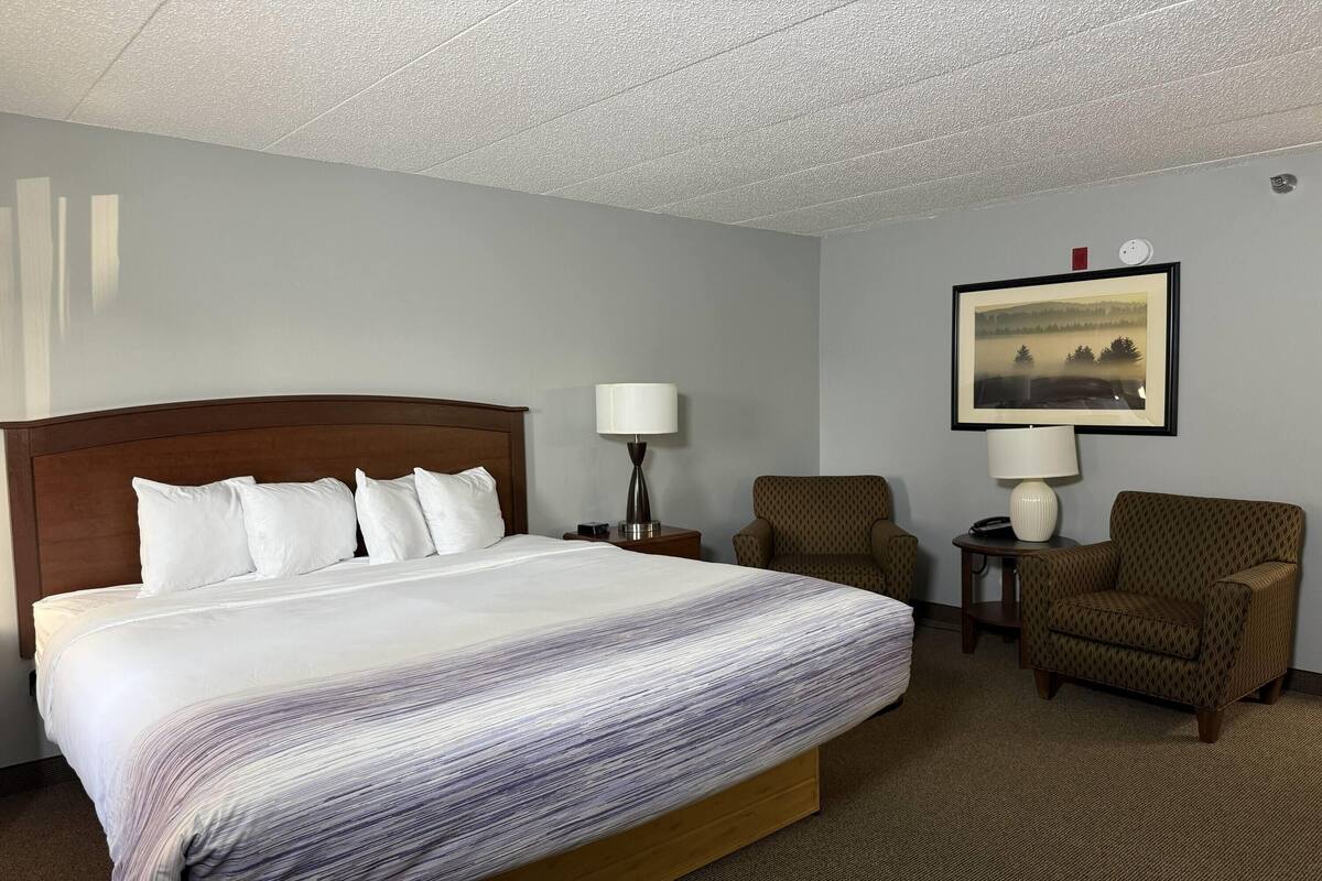A hotel room with a large bed, two chairs, a nightstand with a lamp, and a framed picture on the wall.