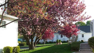 Ulkopuoli